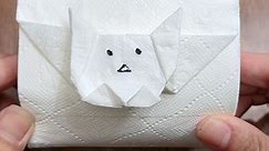 paper craft - "Unplug and Unfold: Try Paper Towel Origami...