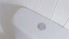 How To Flush A Push Button Toilet 👍
