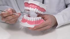 Dentist Showing Camera How Use Tool Stock Footage Video (100% Royalty-free) 1008039142 | Shutterstock