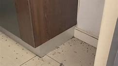📞0712853735. 📍Pretoria.Jhb.Mpumalanga.Northwest HOTELS/APARTMENTS/FLATS/SCHOOLS/HOUSES/SHOPS../Cockroaches /Bedbugs / Termite /Ants /Rodents | Pest Control Kings