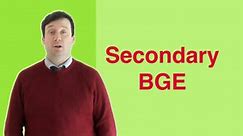 Andrew McCulloch - CURRICULUM - Secondary BGE