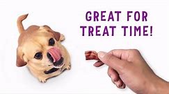 Purina Beggin' Strips With Real Meat Dog Adult Dog Treats With Bacon and Cheese Flavors