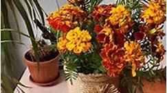 DIY Flower Vase 🌷🌸