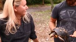 Lawn Mower CHOPPED Tortoise Rescue!
