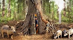 Tree-mendous! 🌳 Building my own secret shelter deep inside this big tree. #cave #cabin #house #dugout #shelter
