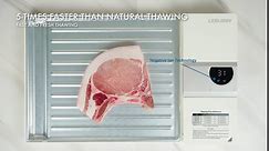 Defrosting Tray - Thawing Tray for Frozen Meat - Meat Thawing Board with Ionic Electric Field 5X Faster Than Traditional Thawing Plate - Rechargeable Battery Operated Meat Defrosting Tray