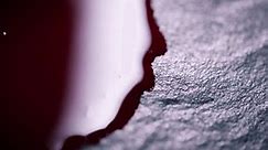 Blood Pooling On Concrete Floor Surface Stock Footage Video (100% Royalty-free) 1111975147 | Shutterstock