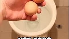Use Eggs To Unblock a Toilet! 🥚🤯