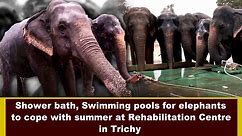 Shower bath, Swimming pools for elephants to cope with summer at Rehabilitation Centre in Trichy