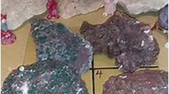 ✨ ❄Happy Tueaday, Peeps! 🐉✨ Ice... - JM's Gems & Minerals