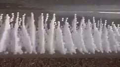 styrofoam balls reacting to different sound frequencies