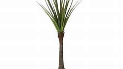 78" Real touch agave in Fiberstone Planter - Bed Bath & Beyond - 28365317