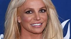 Britney Spears Returns To Instagram With Eye-Popping Display