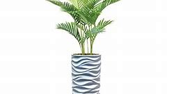 66" Real Touch Palm Tree in Fiberstone Planter - Bed Bath & Beyond - 28365473