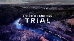 LIVE | Apple River stabbing trial: Nicolae Miu - Day 6
