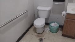 Mansfield Alto Toilet Flushing