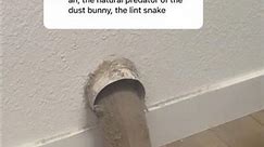 The natural predator of the dust bunny…the lint snake! 🐇🐍