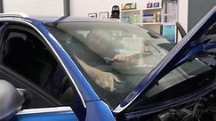 🔴 WINDSCREEN REPLACEMENT 🔴 OEM... - Screen Genie windscreens