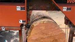 Custom wood planks now available!#custom #planks #projec #farmhouse #house #beams #entrepreneur #entrepreneurlife #woodworker #woodburning #woodcarving #woodworker #mancave #entrenreneurmindset #wood #woodslabs #wood #oak #woodturning #woods #fyp #foryou#followforfollowback #everyday #every | Greg Dymnicki
