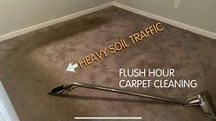 CARPET CLEANING MIRACLE NEEDED ASAP!