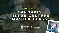 Cannabis Tissue Culture Master Class: On Demand