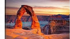 "Delicate Arch, Arches National Park, UT." Canvas Wall Art - Bed Bath & Beyond - 16441215