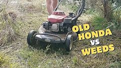 Beat Up OLD HONDA Lawn Mower Tackling an Overgrown Paddock.