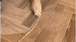 Lay solid oak strip parquet flooring... - Mark Dunn American