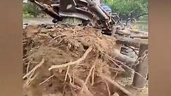 #TT Get rid of the giant tree stump