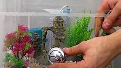 Turning toilet into a functional art object with water tubes & aquarium!