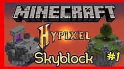 A new beginning! (Hypixel Skyblock) Ep.1