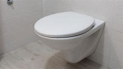 Up or down: Does closing toilet lid matter while flushing?