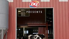 Dairy Queen - American Dairy farmers love Dairy Queen...