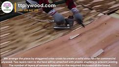 TT plywood - Filling is an important step in plywood...