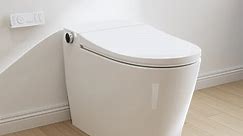 HOROW Best Bidet Toilet Combo Heated Toilet Seat Elongated Model T05