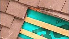 Roof tiling #roofing #tile #construction #fypシ゚viralシ | Construction insights