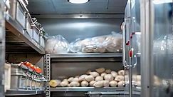 A large walk in freezer with a lot of food in it. The food is organized in different sections and there are many different types of food