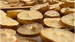 Lemon drying in Solar dryer #lemondrying #valueaddition #valueadd #lemon #lemons #farming #farm #entrapreneur #agribusiness #raheja #agrisol #pmfme #foodprocessing #agriculture #agri #horti #instagram #instalike #instagood #viral #viralreels #viralvideos #trending #trend #trendingreels #gunapatis #fbreels #fbreelsvideo #fbreelsfypシ゚viral #farmlifestyle #lemon #dryer #valueadded | Gunapatis