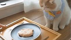 Royal Food Series. Meow eat French Foie Gras