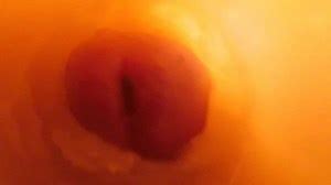 Camera inside vagina while fingering, fucking and cum with hot milf wife and nice cock