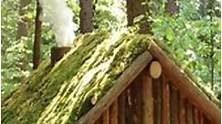 Building a Mini Log Cabin in the Atmospheric Forest. Springtime Bushcraft #nature #camping #naturelovers #woodworking #wood #survivalist #bushcraft #fyp #building #gold #camp #design #adventure #wildlife #REEL #Viralvideo #diy #build #discover #builder #viral #bushcraft #solobushcraft #camp #camping #nature #naturelovers #survival #discover #adventure #outdoors #forest #survivalgear #survivaltips #survivalskills #survivalist | Bushcraft Share