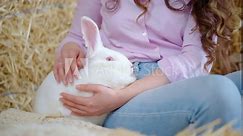 Woman petting a white bunny in the barn near square hay bales, in daylight