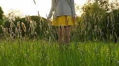 「シルエットの女性は手の高い草に触れる姿。新しい夏草の感じが楽しめる。」の動画素材（ロイヤリティフリー）1011607868 | Shutterstock