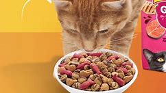 Purina Friskies Gravy Swirlers Dry Cat Food for Adult Cats & Kittens, Chicken & Salmon, 22 lb Bag