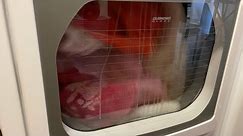 LG Clothes Dryer / 8 mins/ #laundry #clothesdryer #sleepaid