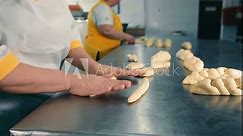 Artisan Bakers Kneading Dough in Bakery, Professional bakers shape and knead dough on a stainless steel surface in a commercial kitchen.