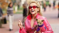 Reese Witherspoon Working on a 'Legally Blonde' TV Series With Amazon | THR News Video - video Dailymotion