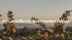 AESTHETIC USERNAME IDEAS (soft, vintage, and more!)