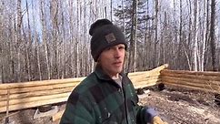 Solo Building A Big Log Cabin In The Woods - Building Log Walls