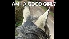 So proud of my baby pony... - Jessie A - Pet and Equine Care